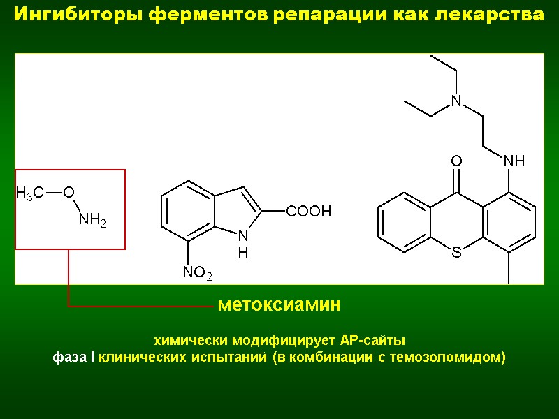 Ингибиторы ферментов репарации как лекарства